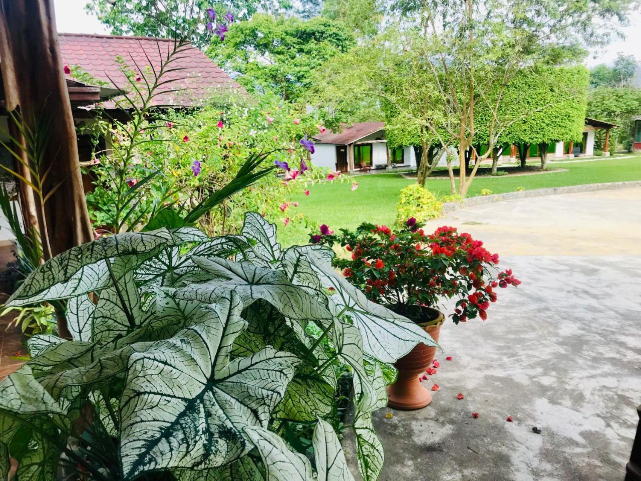 Hosteria Tierra Dorada Yantzaza Kültér fotó